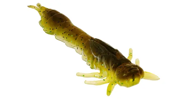 WESTIN - Gumová nástraha Odonata Ned Creaturebait 6,5 cm 2 g 4 ks Motoroil Moss