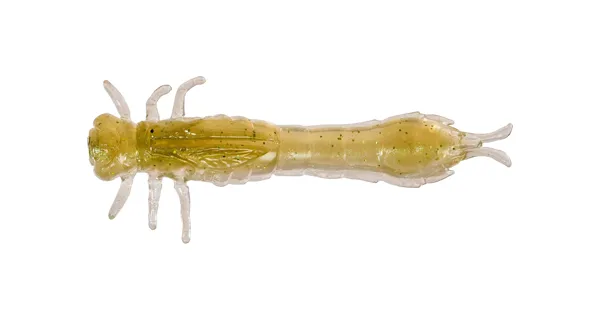 WESTIN - Gumová nástraha Odonata Ned Creaturebait 6,5 cm 2 g 4 ks Olive Mist