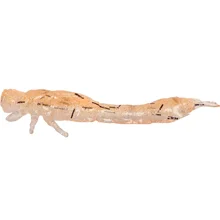 WESTIN - Gumová nástraha Odonata Ned Creaturebait 6,5 cm 2 g 4 ks UV Shrimp