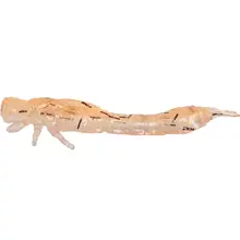 WESTIN - Gumová nástraha Odonata Ned Creaturebait 6,5 cm 2 g 4 ks UV Shrimp