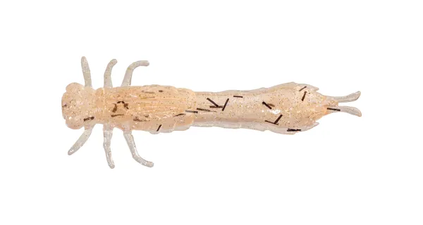 WESTIN - Gumová nástraha Odonata Ned Creaturebait 6,5 cm 2 g 4 ks UV Shrimp