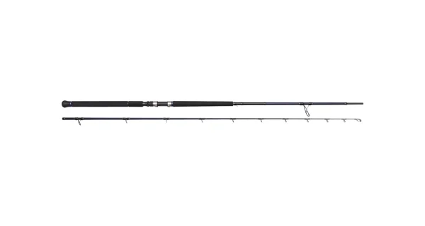 WESTIN - Prut W2 Rockshore Apex Predator H 2,95 m 60-160 g 2 díly