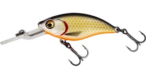 WESTIN - Wobler BuzzBite Crankbait Low Floating 4 cm 4 g Official Roach