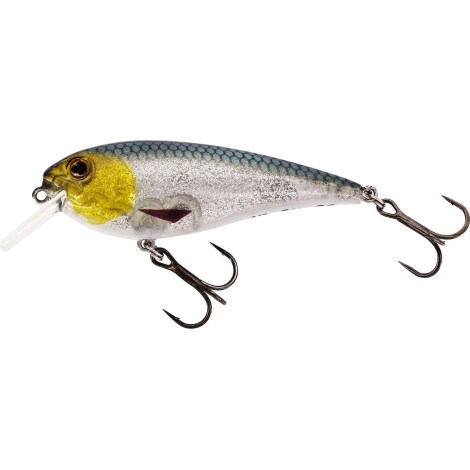 WESTIN - Wobler RawBite Crankbait 7 cm 12 g Floating 3D Headlight