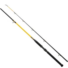 WFT - Prut Never Crack Catfish Boat LTC 2,1 m 250-1000 g 2 díly