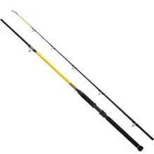 WFT - Prut Never Crack Catfish Boat LTC 2,1 m 250-1000 g 2 díly