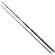 WIZARD - Prut Cat Pro Power 3 m 800-1000 g