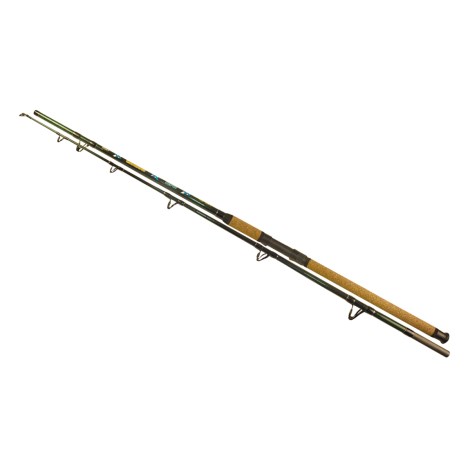 WIZARD - Sumcový prut Catfish Shadow 2,7 m 700-900 g