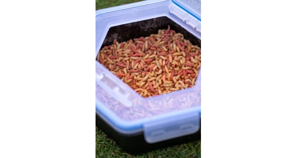 ZEBCO - Krabička na nástrahy se sítkem Secure-Lock Bait Box And Sieve 2 l