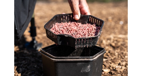 ZEBCO - Krabička na nástrahy se sítkem Secure-Lock Bait Box And Sieve 2 l