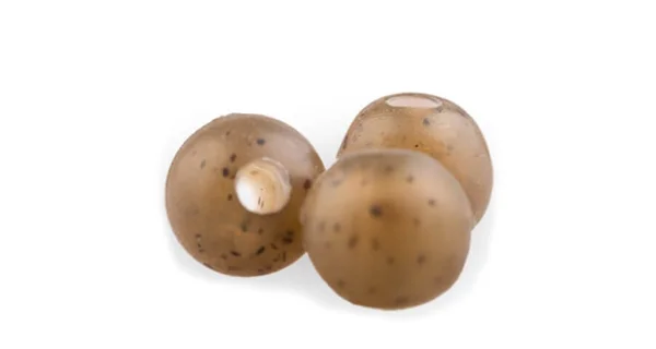 ZFISH - Gumové korálky Rubber Beads Z-Camo 8 mm 20 ks
