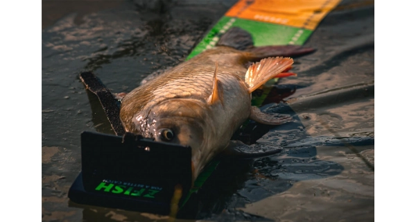 ZFISH - Měřící podložka Challenger