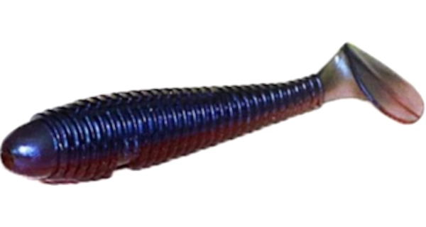 ZFISH - Nástraha Wormy Shad C7 9,5 cm 4 ks