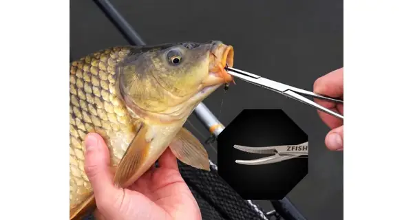 ZFISH - Pean Zahnutý 14 cm