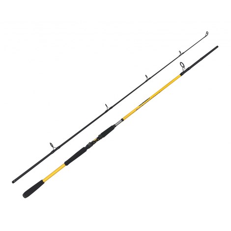 ZFISH - Prut Kodiak 2,4 m 100-250 g